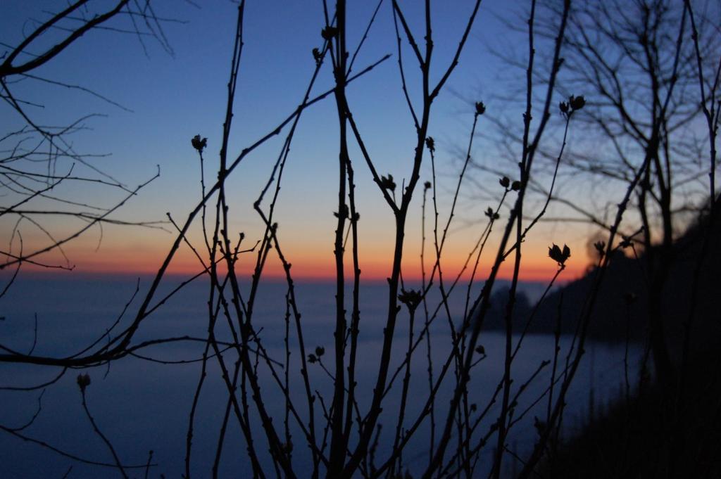 Locanda La Candola Soligo Dış mekan fotoğraf