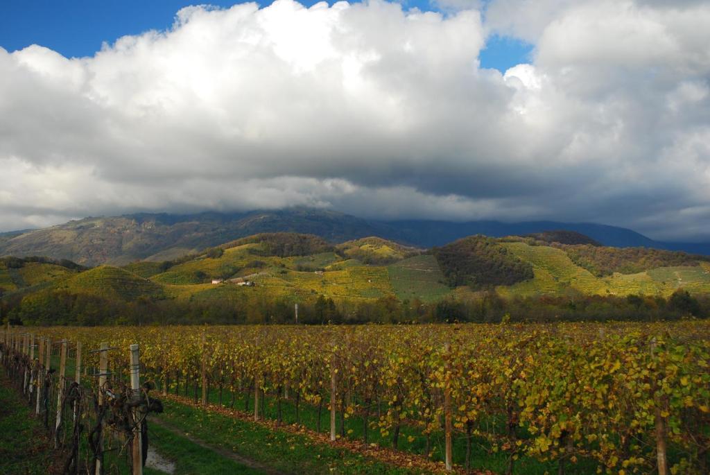Locanda La Candola Soligo Dış mekan fotoğraf